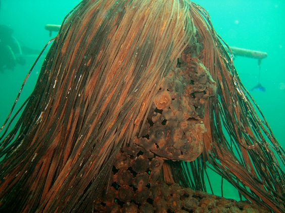 Sundhaeuser See 2010-10-10-03